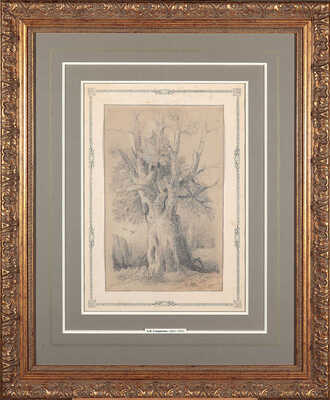 Саврасов Алексей Кондратьевич. Дуб